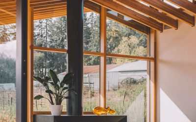 10 raisons de construire en bois